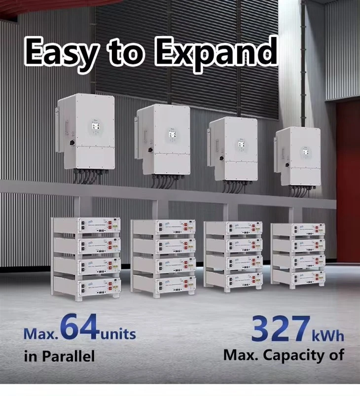 48V 100AH Lifepower Server Rack Battery