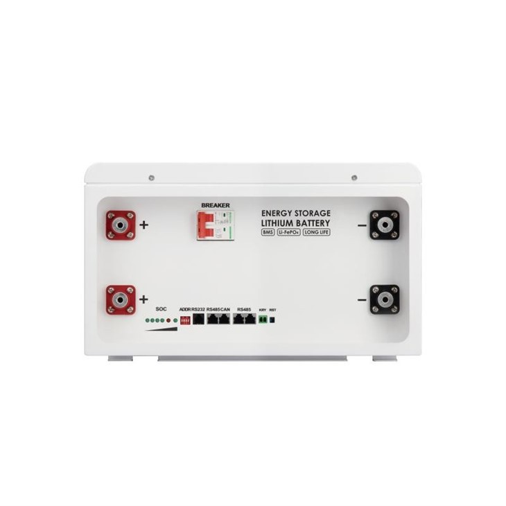 48V 10KWH Lifepo4 Powerbank Battery BMS